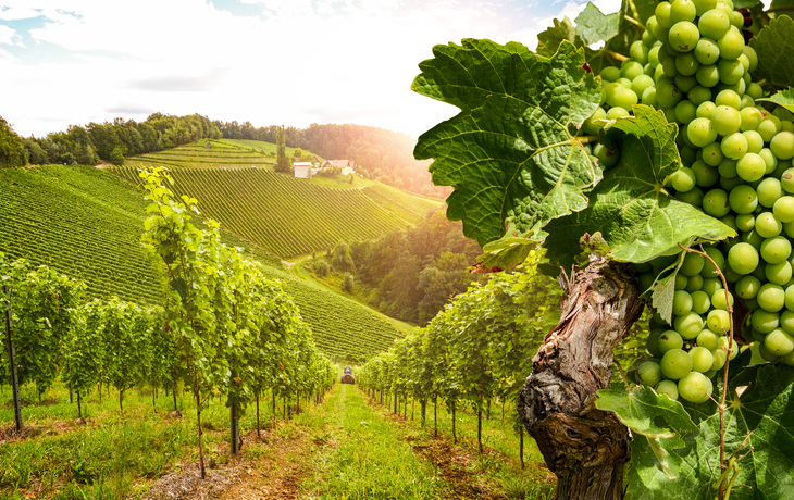 Wachau