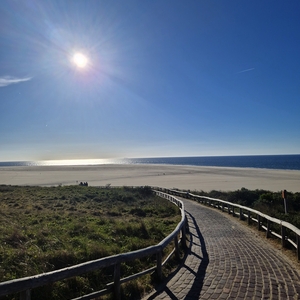 Texel